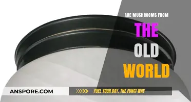 Exploring Mushroom Origins: Are They Truly from the Old World?