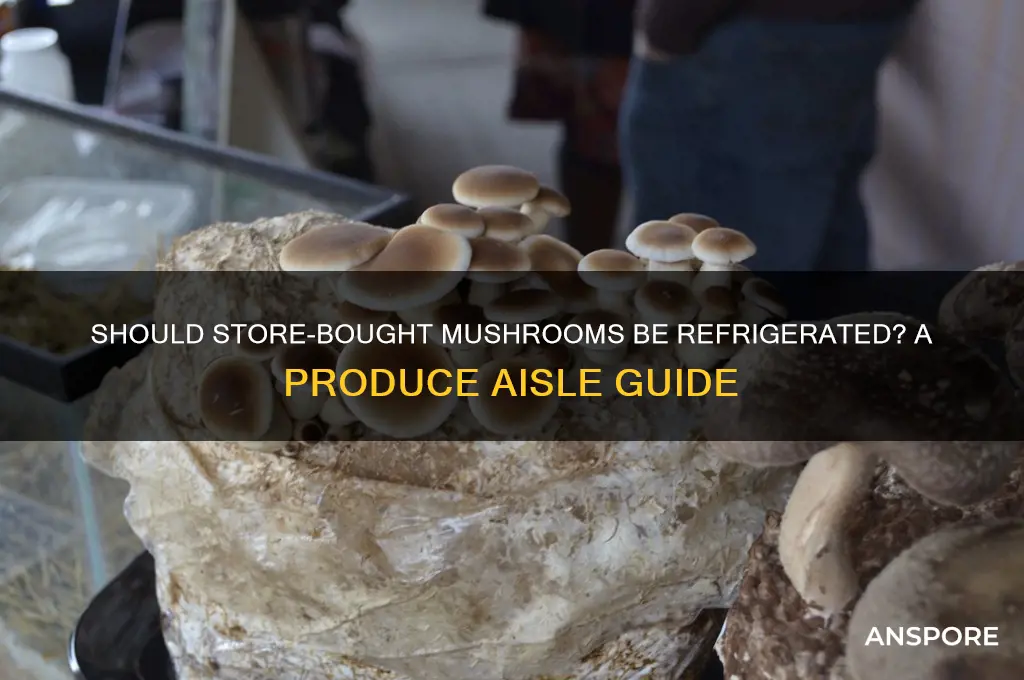 are mushrooms from the produce isle supposed to be refirdgerated