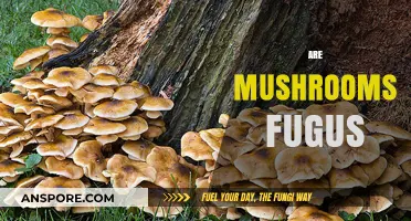 Mushrooms: The Fungal Kingdom's Delicious Mystery
