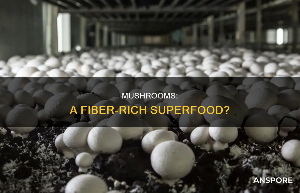are mushrooms full of fiber