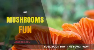 Mushrooms: Fun or Not?