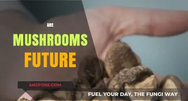 Mushrooms: Future of Food and Medicine