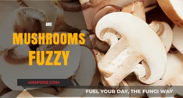 Mushrooms: Fuzzy Friends or Foes?