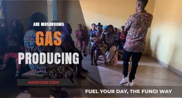 Mushrooms and Gas: What's the Connection?