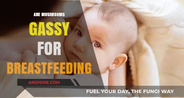 Mushrooms and Breastfeeding: Gas and Bloating Issues?