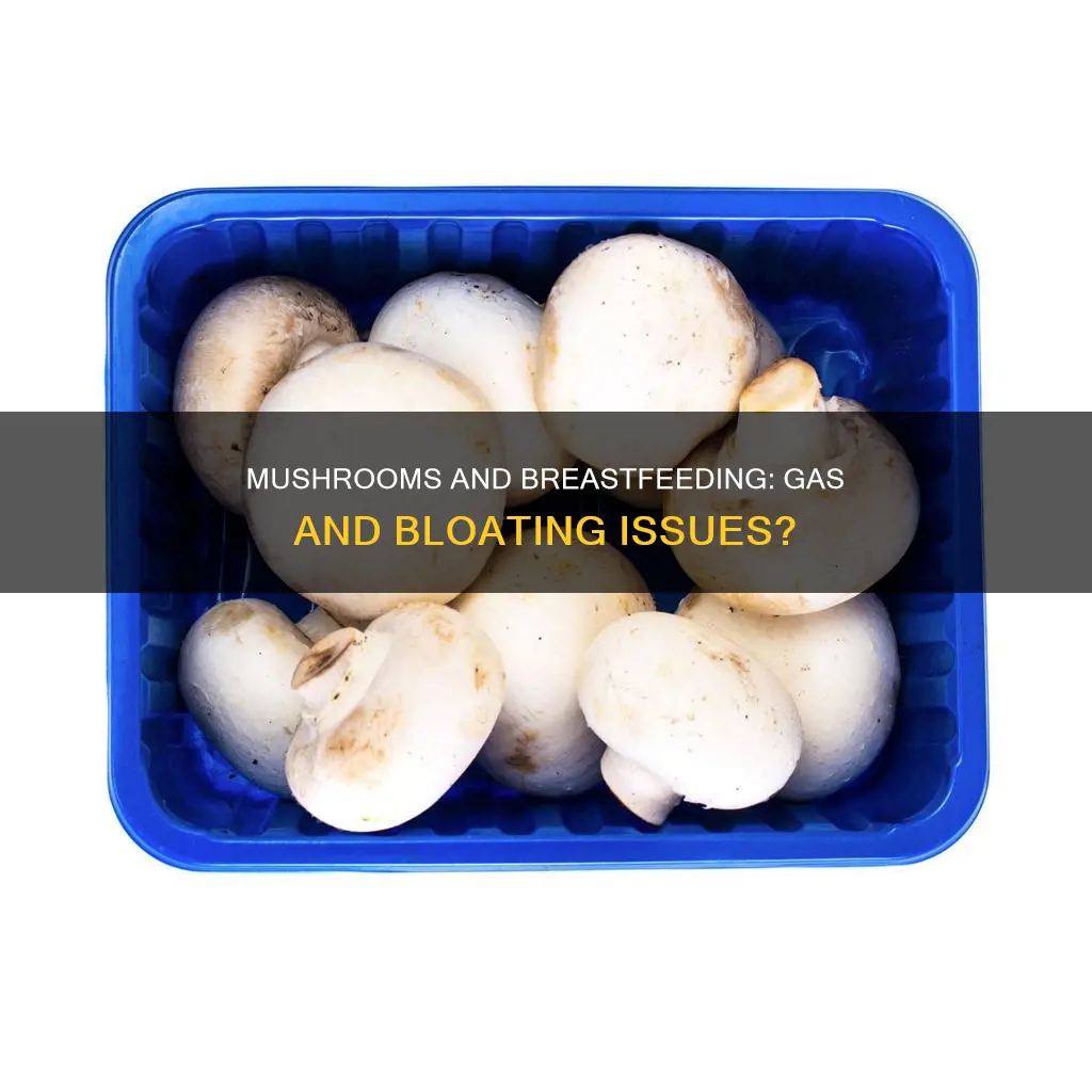 are mushrooms gassy for breastfeeding