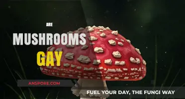 Mushrooms: A Gay Relationship with Nature?