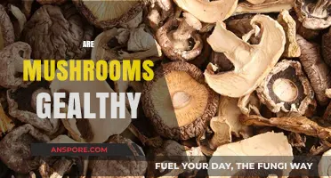 Mushrooms: Superfood or Super-Risky?