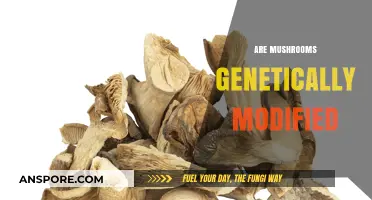 Mushrooms: Genetically Modified or Not?