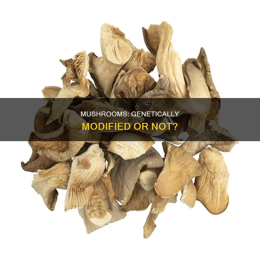 are mushrooms genetically modified
