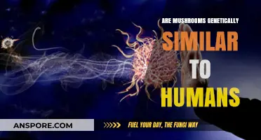 Mushrooms: A Genetic Surprise for Humans