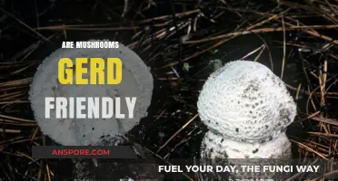 Mushrooms: Friend or Foe for GERD Sufferers?