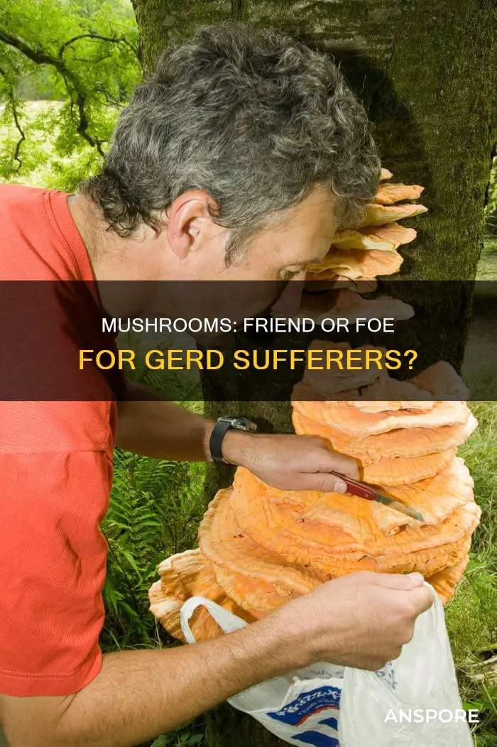 are mushrooms gerd friendly