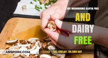 Mushrooms: Gluten and Dairy-Free Superfood?