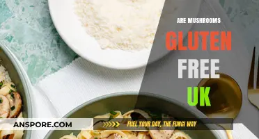 Mushrooms: Gluten-Free Superfood in the UK?