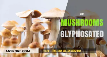 Mushrooms and Glyphosate: What's the Connection?