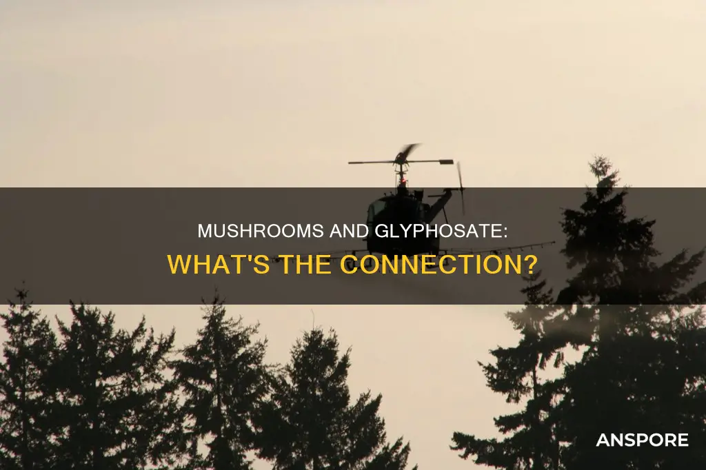 are mushrooms glyphosated