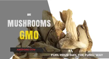Mushrooms: GMO or Not?