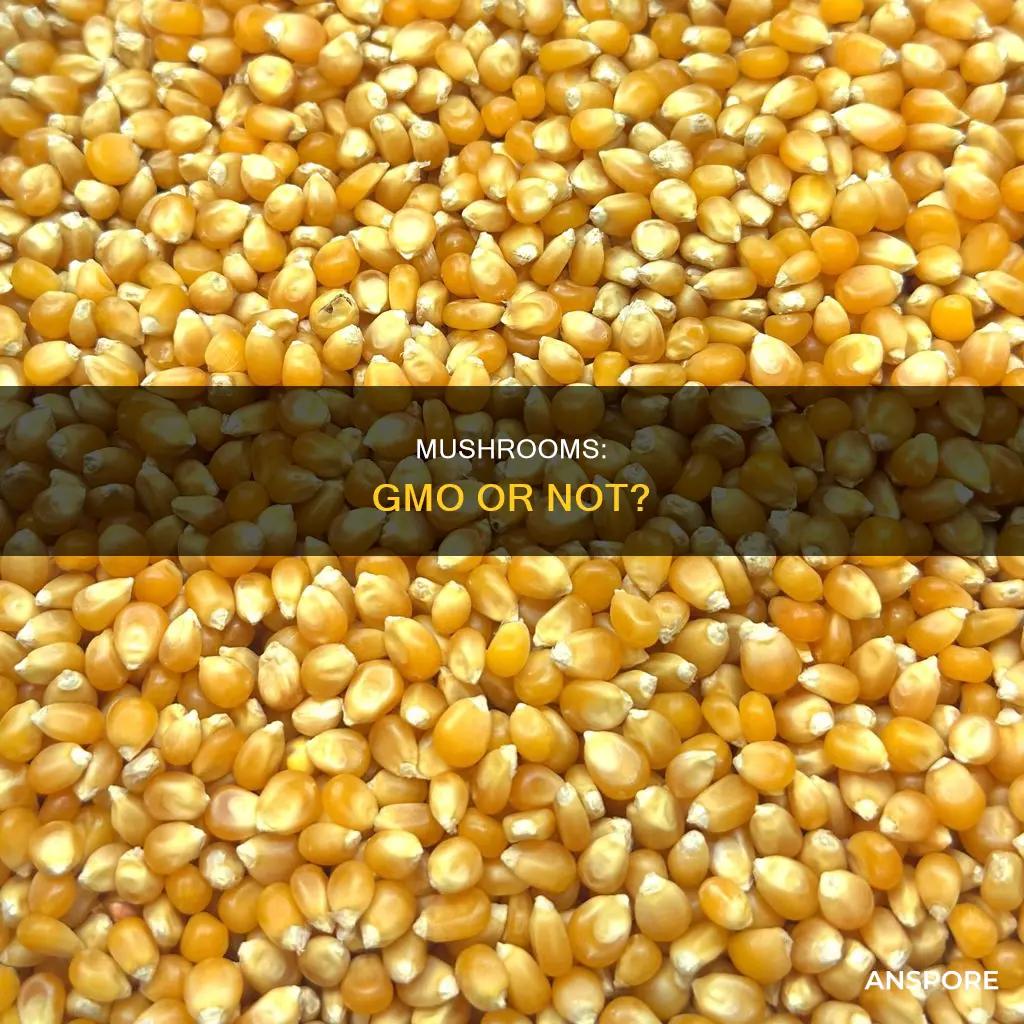 are mushrooms gmo