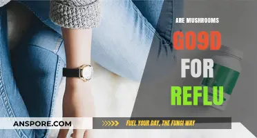 Mushrooms: A Natural Remedy for Acid Reflux?