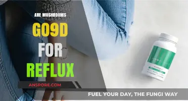 Mushrooms: A Natural Remedy for Acid Reflux?