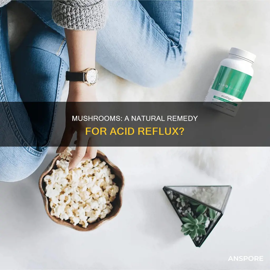 are mushrooms go9d for reflux