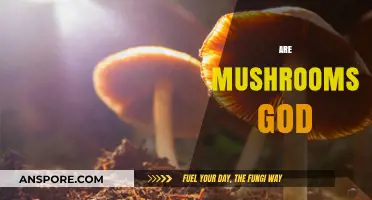 Mushrooms: Nature's Godly Gift to Humans