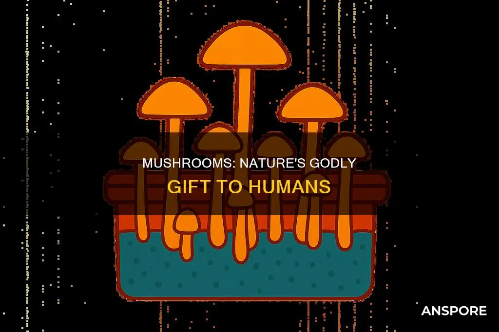 are mushrooms god