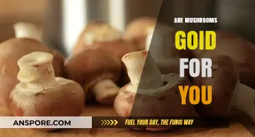 Mushrooms: Healthy Superfood or Just a Fad?