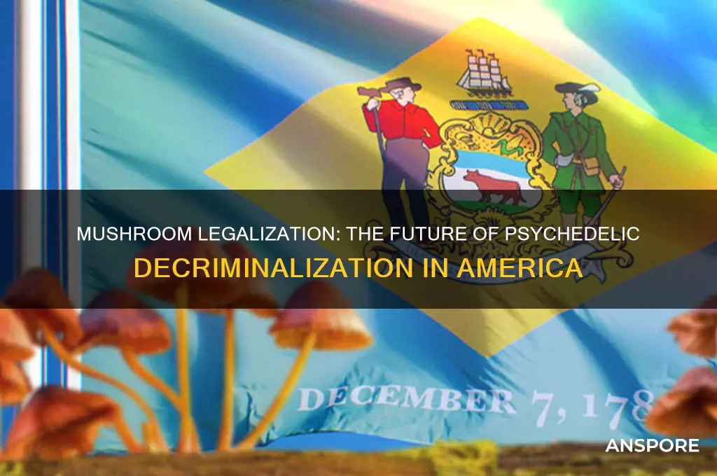 are mushrooms going to be legalized