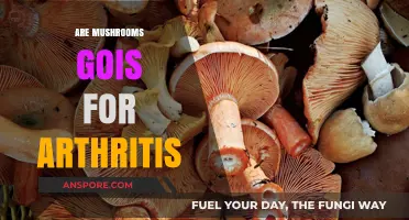 Mushrooms: Natural Treatment for Arthritis?