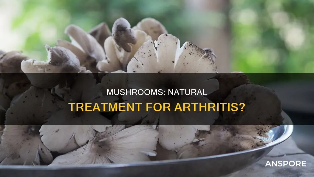 are mushrooms gois for arthritis