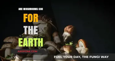 Mushrooms: Earth's Superheroes or Super-villains?