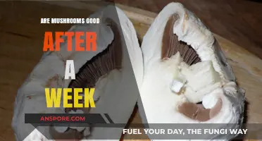 Are Week-Old Mushrooms Still Safe and Tasty to Eat?
