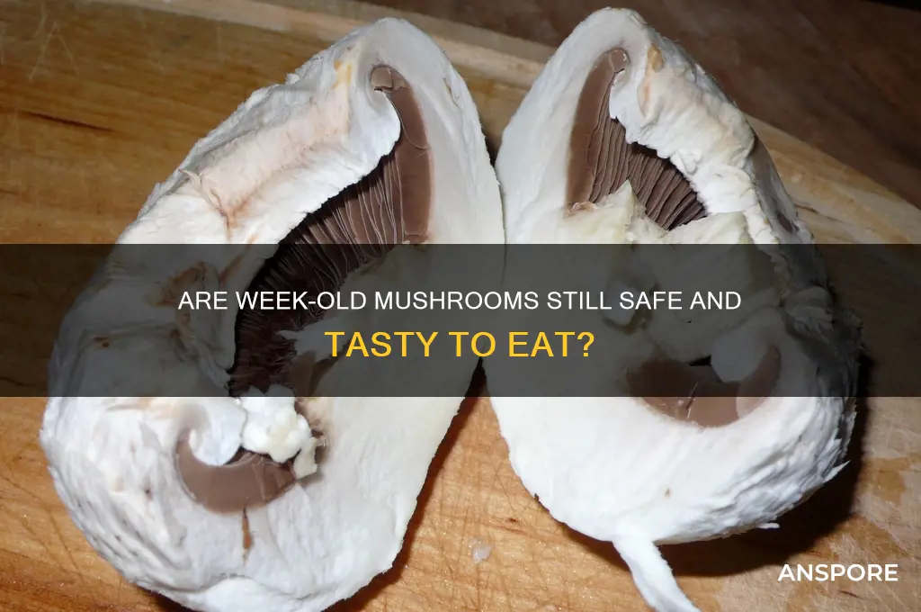 are mushrooms good after a week
