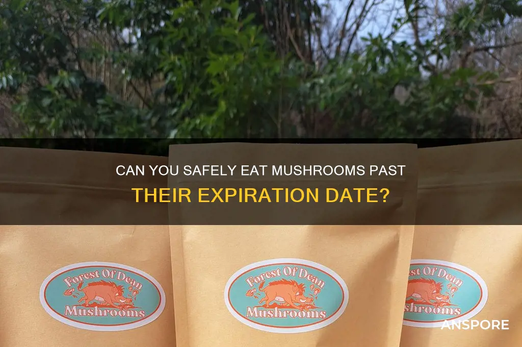 are mushrooms good after expiration date