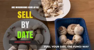 Can You Safely Eat Mushrooms Past Their Sell-By Date?
