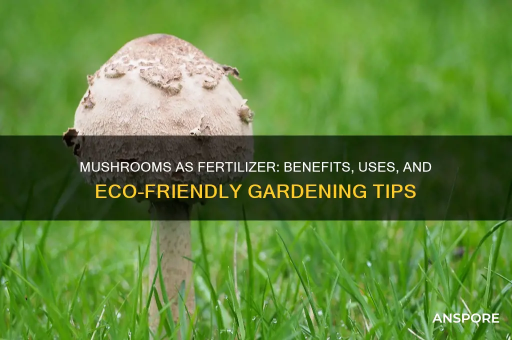 are mushrooms good fertilizer