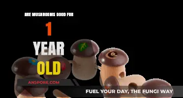 Mushrooms for Toddlers: Are They Safe and Healthy at One Year Old?