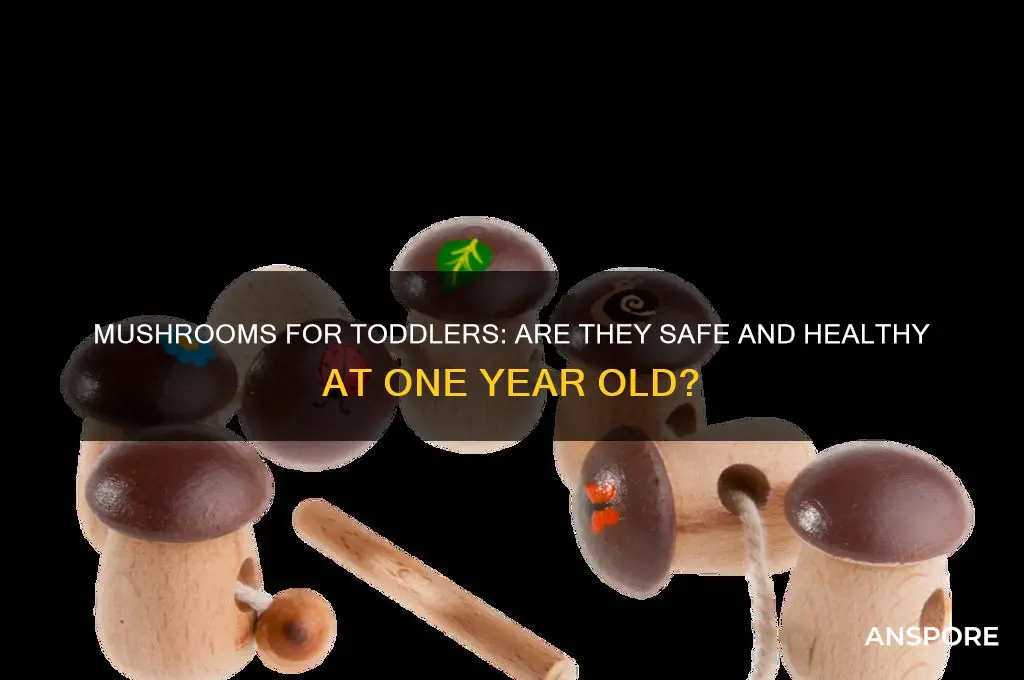 are mushrooms good for 1 year old