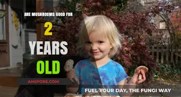 Mushrooms for Toddlers: Safe and Nutritious for 2-Year-Olds?