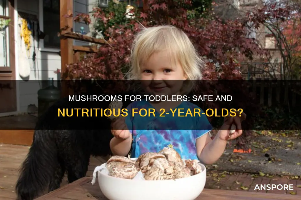 are mushrooms good for 2 years old