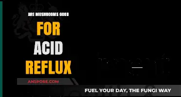 Mushrooms and Acid Reflux: A Natural Remedy or Trigger?