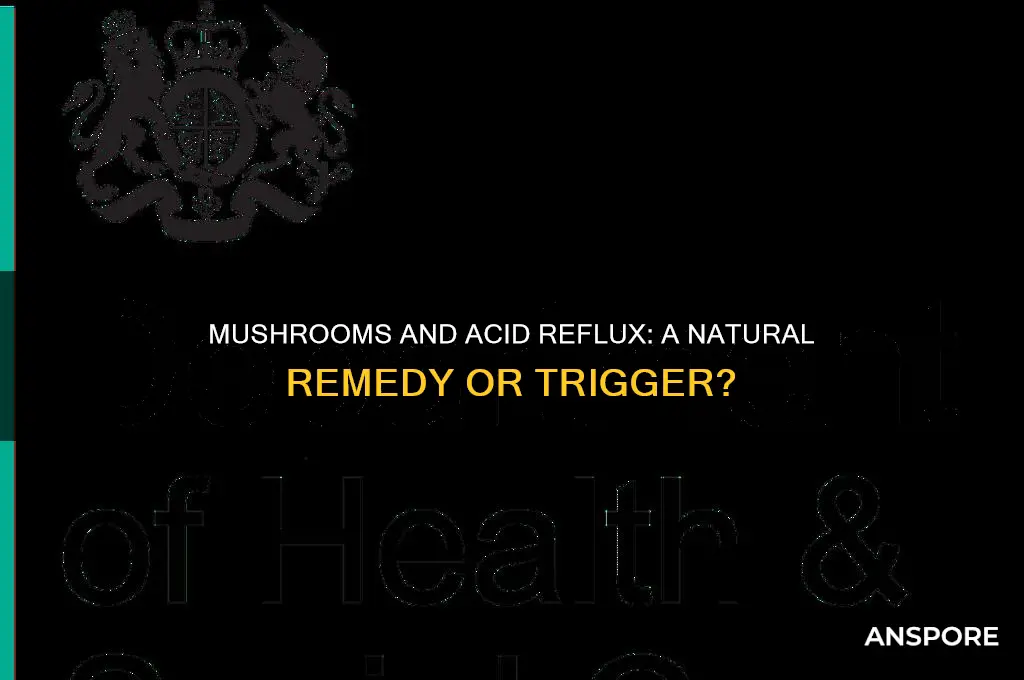 are mushrooms good for acid reflux