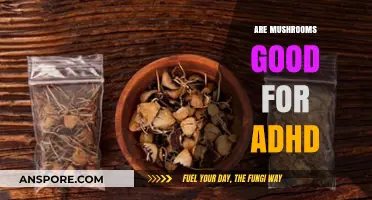 Mushrooms and ADHD: Exploring Their Potential Benefits and Effects