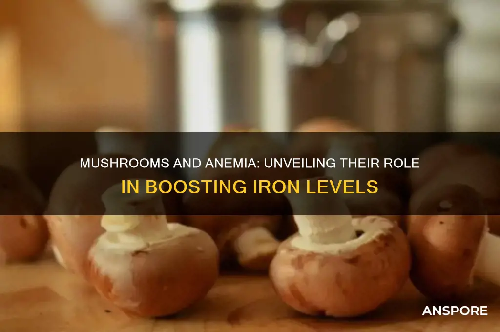 are mushrooms good for anemia