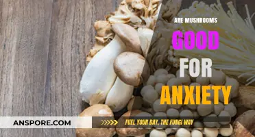 Mushrooms and Anxiety: Exploring Nature's Potential Calming Benefits