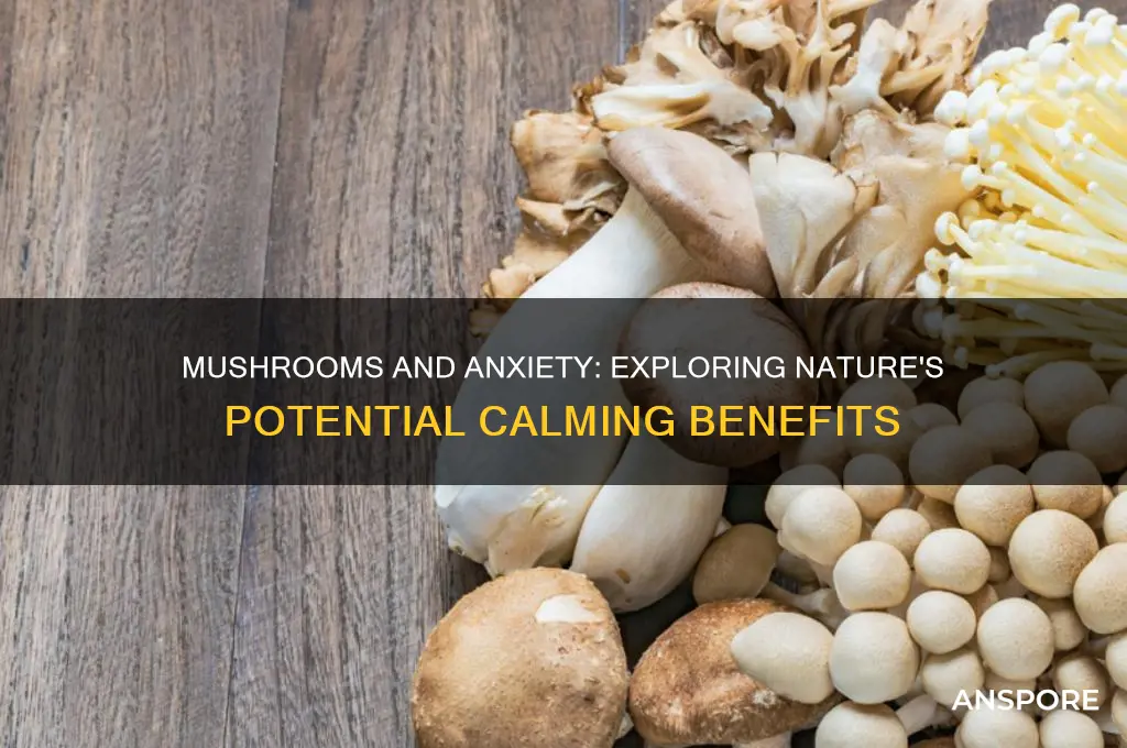 are mushrooms good for anxiety