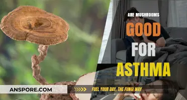 Mushrooms and Asthma: Unveiling Their Potential Respiratory Health Benefits