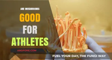 Mushrooms for Athletes: Unlocking Performance and Recovery Benefits